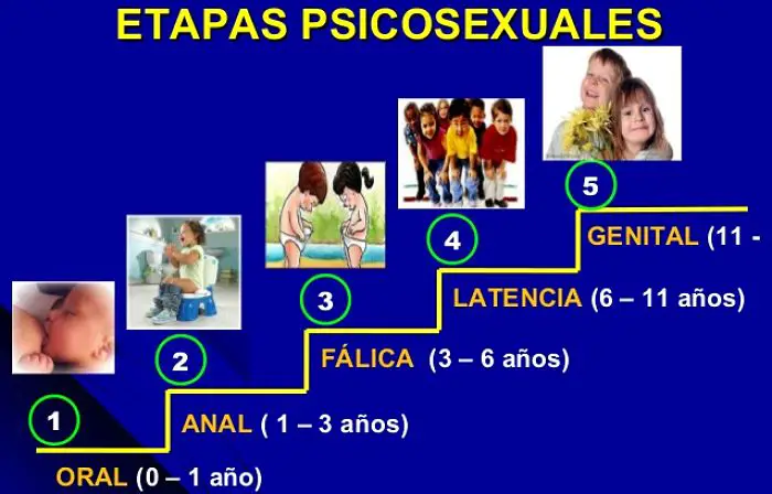 etapas del desarrollo psicosexual