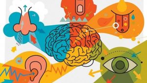 Percepción: Definición, Tipos, Etapas, Factores Que Lo Afectan Y Más.