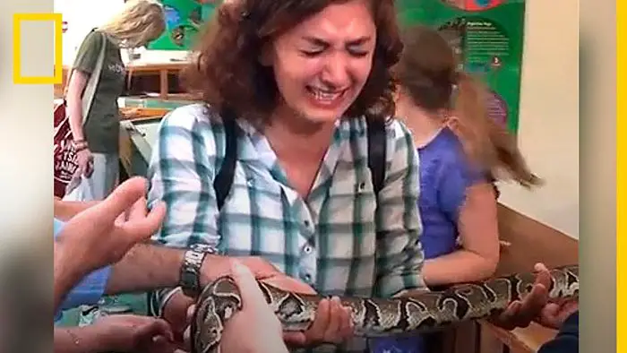miedo a las serpientes