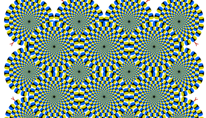 Percepción Del Movimiento: Definición, Factores, Tipos E Importancia.